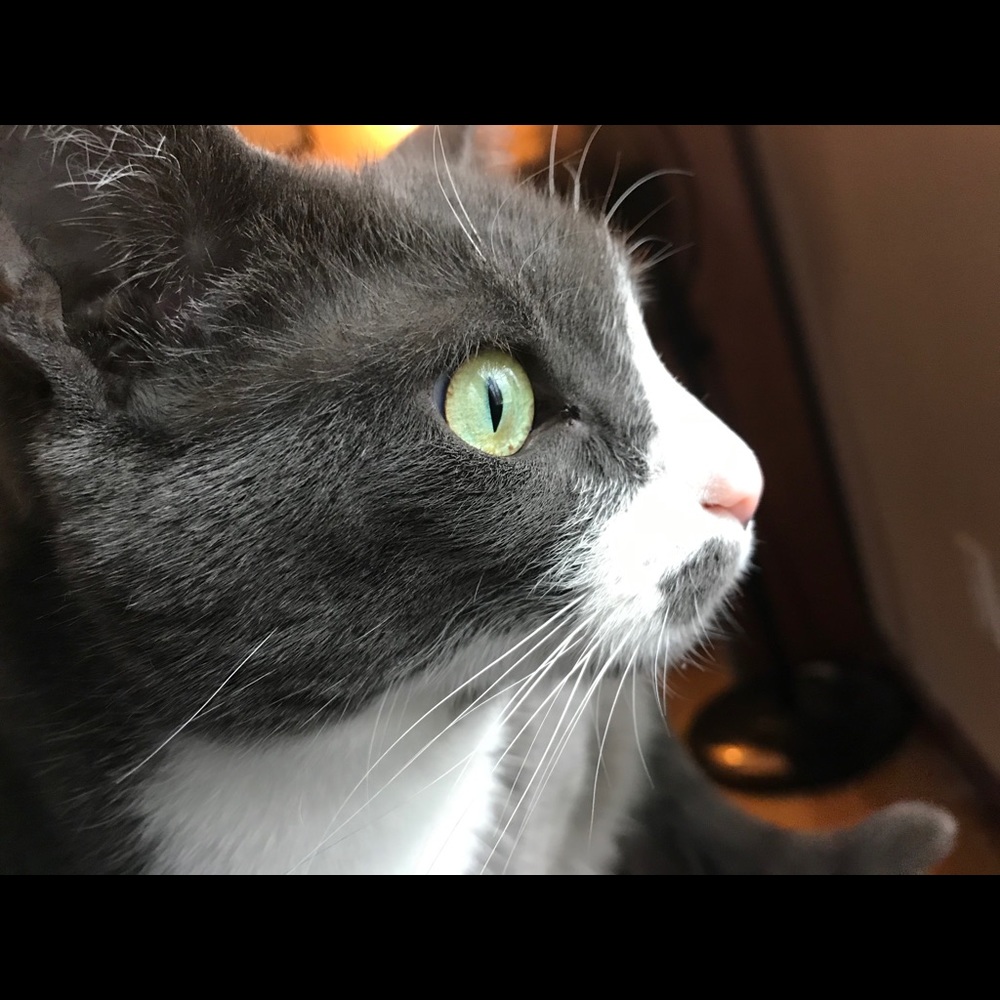 Meet your Posher, Mariel